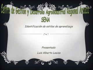 Centro de Gestión y Desarrollo Agroindustrial Regional Arauca  SENA Identificación de estilos de aprendizaje Presentado: Luis Alberto Loaiza 
