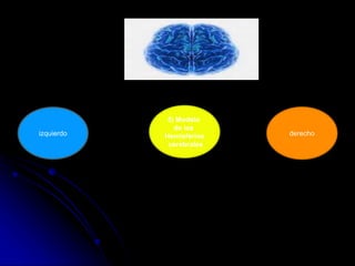 izquierdo derecho
5) Modelo
de los
Hemisferios
cerebrales
 
