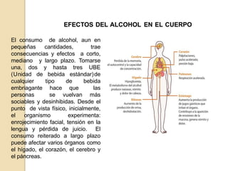 EFECTOS DEL ALCOHOL EN EL CUERPO
El consumo de alcohol, aun en
pequeñas cantidades, trae
consecuencias y efectos a corto,
mediano y largo plazo. Tomarse
una, dos y hasta tres UBE
(Unidad de bebida estándar)de
cualquier tipo de bebida
embriagante hace que las
personas se vuelvan más
sociables y desinhibidas. Desde el
punto de vista físico, inicialmente,
el organismo experimenta:
enrojecimiento facial, tensión en la
lengua y pérdida de juicio. El
consumo reiterado a largo plazo
puede afectar varios órganos como
el hígado, el corazón, el cerebro y
el páncreas.
 