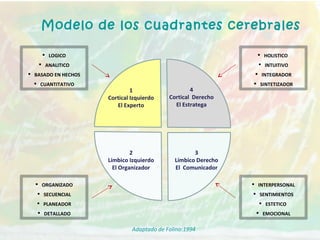 Modelo de los cuadrantes cerebrales
1
Cortical Izquierdo
El Experto
2
Límbico Izquierdo
El Organizador
4
Cortical Derecho
El Estratega
3
Límbico Derecho
El Comunicador
 LOGICO
 ANALITICO
 BASADO EN HECHOS
 CUANTITATIVO
 ORGANIZADO
 SECUENCIAL
 PLANEADOR
 DETALLADO
 HOLISTICO
 INTUITIVO
 INTEGRADOR
 SINTETIZADOR
 INTERPERSONAL
 SENTIMIENTOS
 ESTETICO
 EMOCIONAL
Adaptado de Folino:1994
 