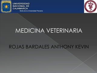 MEDICINA VETERINARIA ROJAS BARDALES ANTHONY KEVIN 