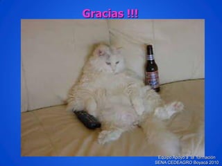 Gracias !!! Equipo Apoyo a la formación SENA CEDEAGRO Boyacá 2010 