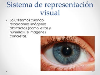 Sistema de representación
visual
• Lo utilizamos cuando
recordamos imágenes
abstractas (como letras y
números), e imágenes
concretas.
 
