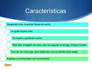Responde a las muestras físicas de cariño
Le gusta tocarlo todo
Se mueve y gesticula mucho
Sale bien arreglado de casa, pero en seguida se arruga, porque no para.
Tono de voz más bajo, pero habla alto, con la barbilla hacia abajo.
Expresa sus emociones con movimientos.
Características
 