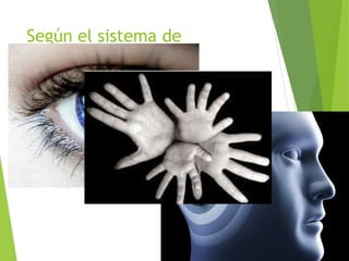 Según el sistema de
representación.
 