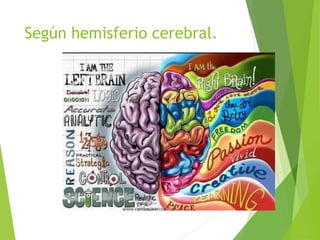 Según hemisferio cerebral.
 