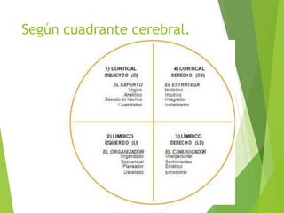 Según cuadrante cerebral.
 