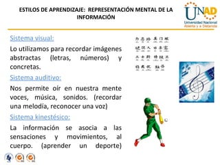 ESTILOS DE APRENDIZAJE:  REPRESENTACIÓN MENTAL DE LA INFORMACIÓN Sistema visual: Lo utilizamos para recordar imágenes abstractas (letras, números) y concretas. Sistema auditivo: Nos permite oír en nuestra mente voces, música, sonidos. (recordar una melodía, reconocer una voz) Sistema kinestésico: La información se asocia a las sensaciones y movimientos, al cuerpo. (aprender un deporte) 
