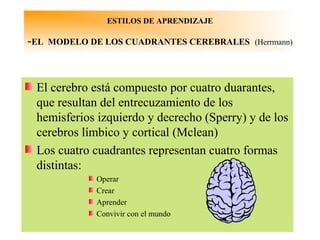 ESTILOS DE APRENDIZAJE

-EL   MODELO DE LOS CUADRANTES CEREBRALES (Herrmann)




 El cerebro está compuesto por cuatro duarantes,
 que resultan del entrecuzamiento de los
 hemisferios izquierdo y decrecho (Sperry) y de los
 cerebros límbico y cortical (Mclean)
 Los cuatro cuadrantes representan cuatro formas
 distintas:
               Operar
               Crear
               Aprender
               Convivir con el mundo
 