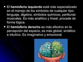 El  hemisferio izquierdo  está más especializado en el manejo de los símbolos de cualquier tipo: lenguaje, álgebra, símbolos químicos, partituras musicales. Es más analítico y lineal, procede de forma lógica. El  hemisferio derecho  es más efectivo en la percepción del espacio, es más global, sintético e intuitivo. Es imaginativo y emocional. 