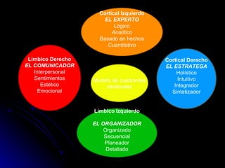 Límbico Derecho EL COMUNICADOR Interpersonal Sentimientos Estético Emocional Límbico Izquierdo EL ORGANIZADOR Organizado Secuencial Planeador Detallado Cortical Derecho EL ESTRATEGA Holístico Intuitivo Integrador Sintetizador Cortical Izquierdo EL EXPERTO Lógico Analítico Basado en hechos Cuantitativo Modelo de cuadrantes cerebrales  