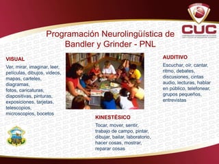 VISUAL
Ver, mirar, imaginar, leer,
películas, dibujos, videos,
mapas, carteles,
diagramas,
fotos, caricaturas,
diapositivas, pinturas,
exposiciones, tarjetas,
telescopios,
microscopios, bocetos
AUDITIVO
Escuchar, oír, cantar,
ritmo, debates,
discusiones, cintas
audio, lecturas, hablar
en público, telefonear,
grupos pequeños,
entrevistas
KINESTÉSICO
Tocar, mover, sentir,
trabajo de campo, pintar,
dibujar, bailar, laboratorio,
hacer cosas, mostrar,
reparar cosas
Programación Neurolingüística de
Bandler y Grinder - PNL
 
