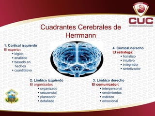 1. Cortical izquierdo
El experto:
 lógico
 analítico
 basado en
hechos
 cuantitativo
Cuadrantes Cerebrales de
Herrmann
2. Límbico izquierdo
El organizador:
 organizado
 secuencial
 planeador
 detallado
4. Cortical derecho
El estratega:
 holístico
 intuitivo
 integrador
 sintetizador
3. Límbico derecho
El comunicador:
 interpersonal
 sentimientos
 estético
 emocional
 
