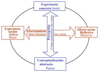 Estilos de Aprendizaje de Kolb. Categorias de Honey y Mumford | PPT