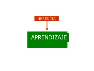 <ul><li>APRENDIZAJE </li></ul>APRENDIZAJE HERENCIA 