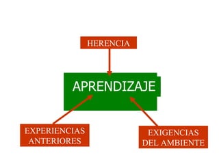 Estilos de Aprendizaje de Kolb. Categorias de Honey y Mumford | PPT