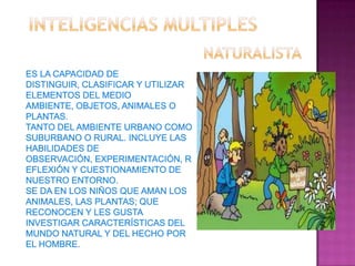 Estilos de aprendizaje e inteligencias multiples grupo 3