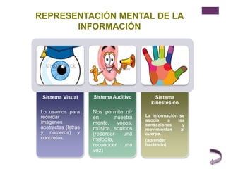 REPRESENTACIÓN MENTAL DE LA
INFORMACIÓN
Sistema Visual
Lo usamos para
recordar
imágenes
abstractas (letras
y números) y
concretas.
Sistema Auditivo
Nos permite oír
en nuestra
mente, voces,
música, sonidos
(recordar una
melodía,
reconocer una
voz)
Sistema
kinestésico
La información se
asocia a las
sensaciones y
movimientos al
cuerpo.
(aprender
haciendo)
 