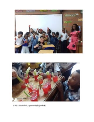 Nivel: secundaria y primaria (segundo B)
 