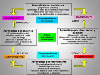 PRAGMÁTICO
REFLEXIVO
ACTIVO
TEÓRICO
 