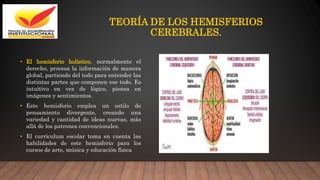 TEORÍA DE LOS HEMISFERIOS
CEREBRALES.
• El hemisferio holístico, normalmente el
derecho, procesa la información de manera
global, partiendo del todo para entender las
distintas partes que componen ese todo. Es
intuitivo en vez de lógico, piensa en
imágenes y sentimientos.
• Este hemisferio emplea un estilo de
pensamiento divergente, creando una
variedad y cantidad de ideas nuevas, más
allá de los patrones convencionales.
• El currículum escolar toma en cuenta las
habilidades de este hemisferio para los
cursos de arte, música y educación física
 
