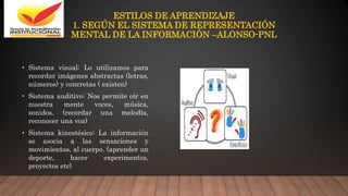 ESTILOS DE APRENDIZAJE
1. SEGÚN EL SISTEMA DE REPRESENTACIÓN
MENTAL DE LA INFORMACIÓN –ALONSO-PNL
• Sistema visual: Lo utilizamos para
recordar imágenes abstractas (letras,
números) y concretas ( existen)
• Sistema auditivo: Nos permite oír en
nuestra mente voces, música,
sonidos. (recordar una melodía,
reconocer una voz)
• Sistema kinestésico: La información
se asocia a las sensaciones y
movimientos, al cuerpo. (aprender un
deporte, hacer experimentos,
proyectos etc)
 