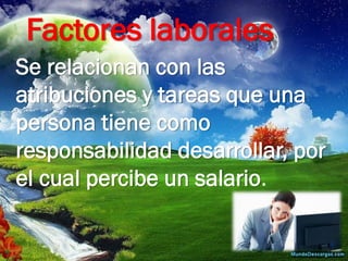 Factores laborales 
Se relacionan con las atribuciones y tareas que una persona tiene como responsabilidad desarrollar, por el cual percibe un salario.  