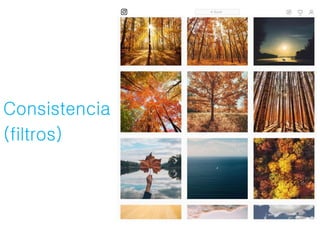 Consistencia
(filtros)
 