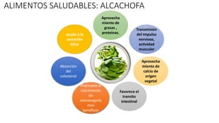 Aprovecha
miento de
grasas ,
proteinas.ayuda a la
secreción
biliar
Absorción
del
colesterol
Promueve el
crecimiento
de
microorganis
mos
benéficos
Favorece el
transito
intestinal
Aprovecha
miento de
calcio de
origen
vegetal
Transmisión
del impulso
nervioso,
actividad
muscular
ALIMENTOS SALUDABLES: ALCACHOFA
 