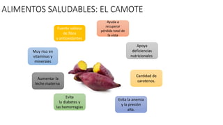 ALIMENTOS SALUDABLES: EL CAMOTE
Fuente valiosa
de fibra
y antioxidantes
Aumentar la
leche materna
Evita
la diabetes y
las hemorragias
Evita la anemia
y la presión
alta.
Cantidad de
carotenos.
Apoya
deficiencias
nutricionales
Muy rico en
vitaminas y
minerales
Ayuda a
recuperar
pérdida total de
la vista
 