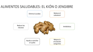ALIMENTOS SALUDABLES: EL KIÓN O JENGIBRE
Reduce el
colesterol
Ayuda a conciliar
el sueño
Mejora la
circulación
sanguínea
Elimina la acidez
Reduce las
náuseas
Antibiótico
 