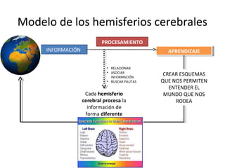 Modelo de los hemisferios cerebrales 
INFORMACIÓN 
PROCESAMIENTO 
• RELACIONAR 
• ASOCIAR 
INFORMACIÓN 
• BUSCAR PAUTAS 
Cada hemisferio 
cerebral procesa la 
información de 
forma diferente 
AAPPRREENNDDIZIZAAJJEE 
CREAR ESQUEMAS 
QUE NOS PERMITEN 
ENTENDER EL 
MUNDO QUE NOS 
RODEA 
 