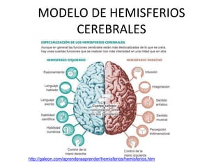 MODELO DE HEMISFERIOS
CEREBRALES
http://galeon.com/aprenderaaprender/hemisferios/hemisferios.htm
 