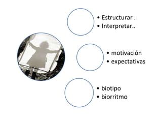 cognitivo
• Estructurar .
• Interpretar..
afectivo
• motivación
• expectativas
Fisiológico
• biotipo
• biorritmo
 