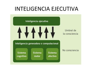 INTELIGENCIA EJECUTIVA
 