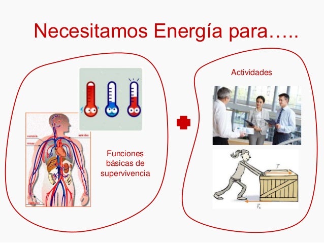 Estimación de las necesidades de energía