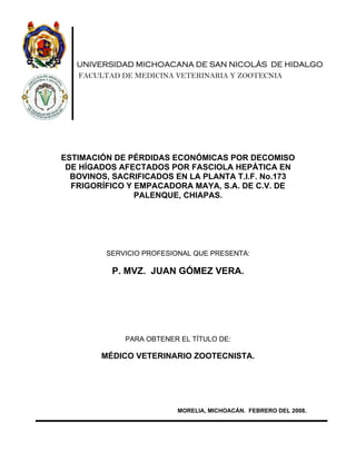 UNIVERSIDAD MICHOACANA DE SAN NICOLÁS DE HIDALGO
FACULTAD DE MEDICINA VETERINARIA Y ZOOTECNIA
ESTIMACIÓN DE PÉRDIDAS ECONÓMICAS POR DECOMISO
DE HÍGADOS AFECTADOS POR FASCIOLA HEPÁTICA EN
BOVINOS, SACRIFICADOS EN LA PLANTA T.I.F. No.173
FRIGORÍFICO Y EMPACADORA MAYA, S.A. DE C.V. DE
PALENQUE, CHIAPAS.
SERVICIO PROFESIONAL QUE PRESENTA:
P. MVZ. JUAN GÓMEZ VERA.
PARA OBTENER EL TÍTULO DE:
MÉDICO VETERINARIO ZOOTECNISTA.
MORELIA, MICHOACÁN. FEBRERO DEL 2008.
Firmado digitalmente por
AUTOMATIZACION
Nombre de reconocimiento
(DN): cn=AUTOMATIZACION,
o=UMSNH, ou=DGB,
email=soporte@biblioteca.
dgb.umich.mx, c=MX
Fecha: 2011.01.27 09:17:41
-06'00'
 