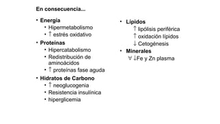 En consecuencia...
• Energía
• Hipermetabolismo
• ↑ estrés oxidativo
• Proteínas
• Hipercatabolismo
• Redistribución de
aminoácidos
• ↑ proteínas fase aguda
• Hidratos de Carbono
• ↑ neoglucogenia
• Resistencia insulínica
• hiperglicemia
• Lípidos
↑ lipólisis periférica
↑ oxidación lípidos
↓ Cetogénesis
• Minerales
∀ ↓Fe y Zn plasma
 