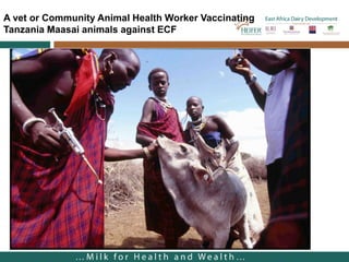 Where should we target Infection and Treatment Method (ITM) distribution? A GIS based approach applied to Kenya, Malawi, Tanzania and Uganda