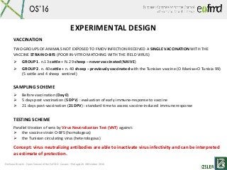 Emiliana Brocchi - Open Session of the EuFMD - Cascais –Portugal 26-28 October 2016
VACCINATION
TWO GROUPS OF ANIMALS NOT ...