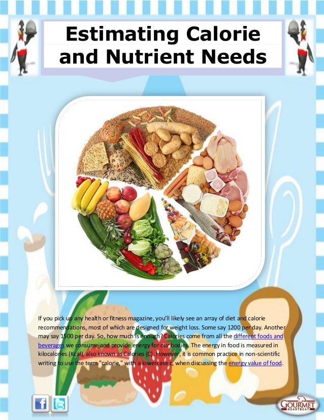 Estimating calorie and nutrient needs