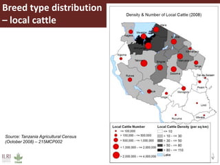 Potential areas to target ITM distribution: A GIS-based approach
