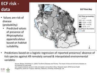 Potential areas to target ITM distribution: A GIS-based approach