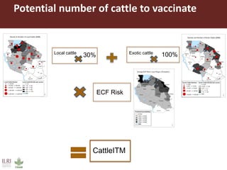 Potential areas to target ITM distribution: A GIS-based approach