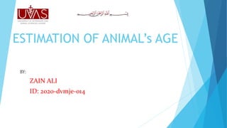 ESTIMATION OF ANIMAL’s AGE
ZAIN ALI
ID: 2020-dvmje-014
BY:
 