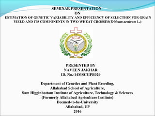SEMINAR PRESENTATION
ON
ESTIMATION OF GENETIC VARIABILITY AND EFFICIENCY OF SELECTION FOR GRAIN
YIELD AND ITS COMPONENTS IN TWO WHEAT CROSSES(Triticum aestivum L.)
Department of Genetics and Plant Breeding,
Allahabad School of Agriculture,
Sam Higginbottom Institute of Agriculture, Technology & Sciences
(Formerly Allahabad Agriculture Institute)
Deemed-to-be-University
Allahabad, UP
2016
PRESENTED BY
NAVEEN JAKHAR
ID. No.-14MSCGPB029
 