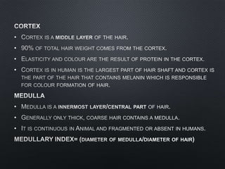 Estimation of hair index from human hair