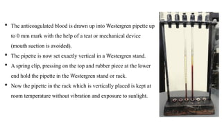 Westrgren Rack ESTIMATION OF PCV(packed cell volume)AND ESR(erythrocyte sedimentation ...
