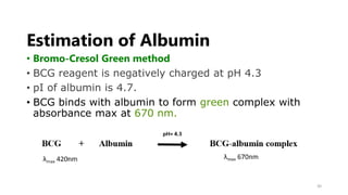 Estimation of serum protein Dr. saba | PPTX