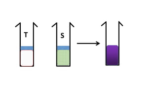 Protein Testing Estimation of Serum Protien by Biuret method | PPTX